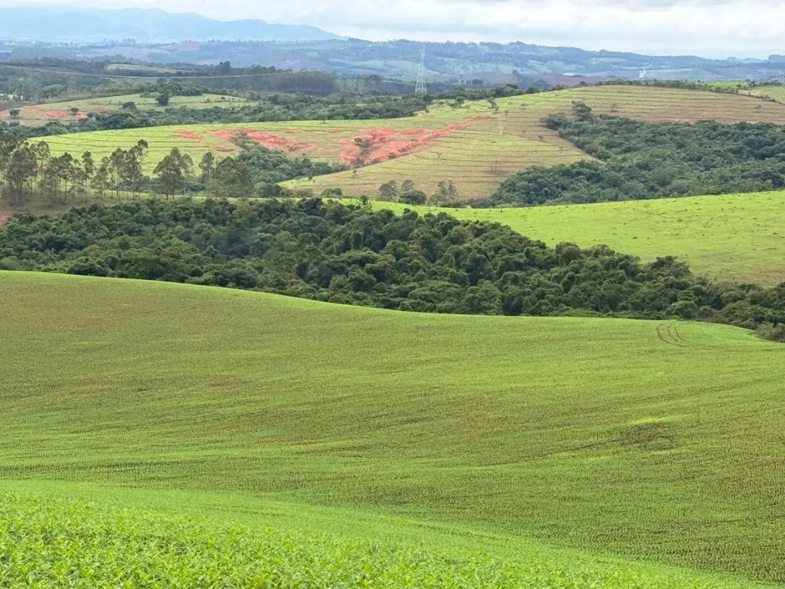 Imagem FAZENDA À VENDA - ENTRE RIOS DE MINAS 500 hectares de terra