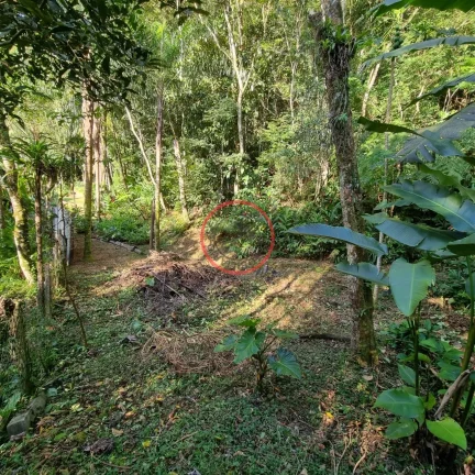 Imagem Lindo terreno na Beira Rio, com 1500 mt com patamar e area de preservaçao.