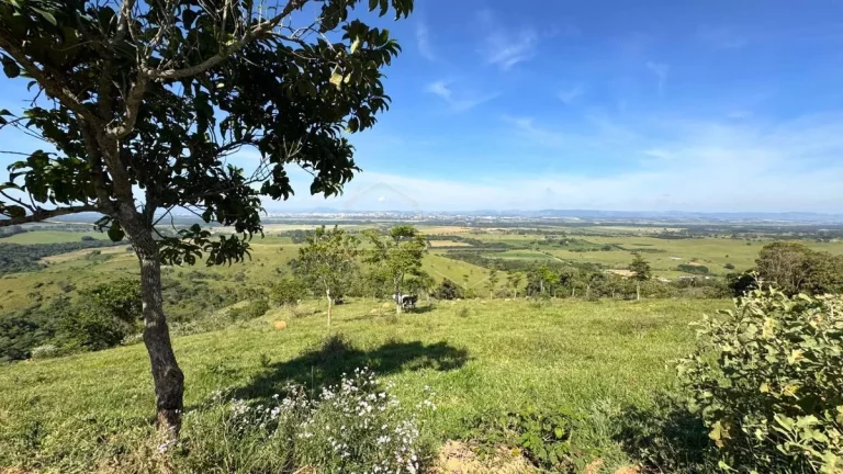 Imagem Oportunidade de Terrenos na serra
