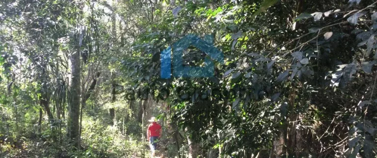 Imagem Área à venda 1.300 m2 em Ibiúna, perto do Hotel Paraty