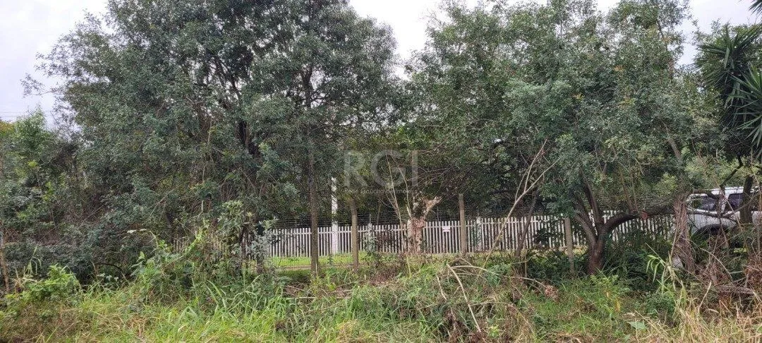 Imagem Terreno para Venda - 3.037m² no bairro Campo Novo