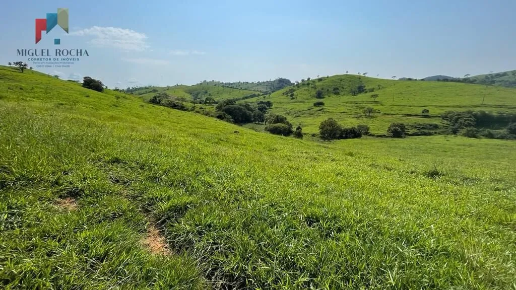 Fazenda região de Itapira SP em Rua 15 de Novembro