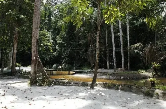 Imagem Sítio à Venda, 125.000 m² em Lago Azul - Manaus