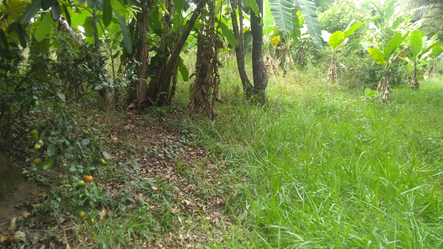 Imagem Terreno à venda 6866M², Crispim, Pindamonhangaba - SP