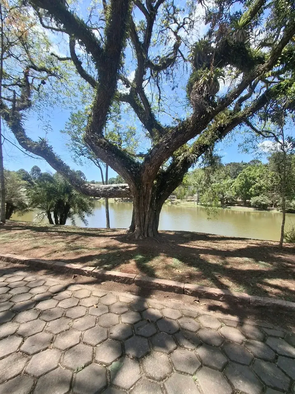 Imagem Casa de Condomínio com 3 Quartos à Venda, 180 m² em Centro (Caucaia do Alto) - Cotia