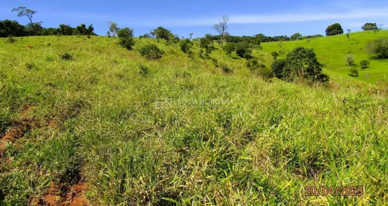 Imagem Chácara a venda