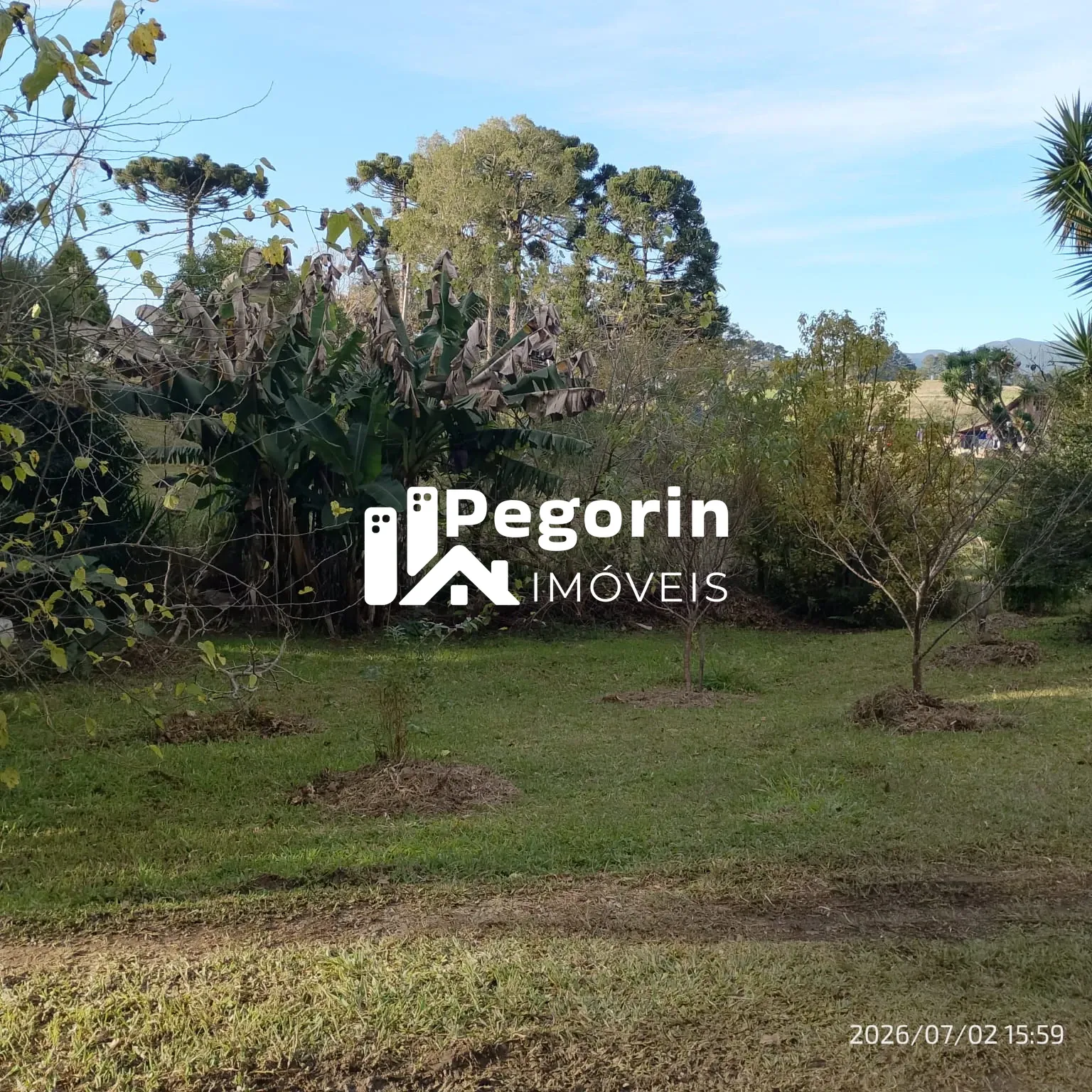 Imagem CHACARA 2.000M² PIRAQUARA PROXIMO A BR 277