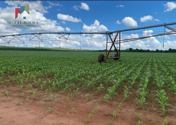 Imagem Fazenda região de Avaré SP