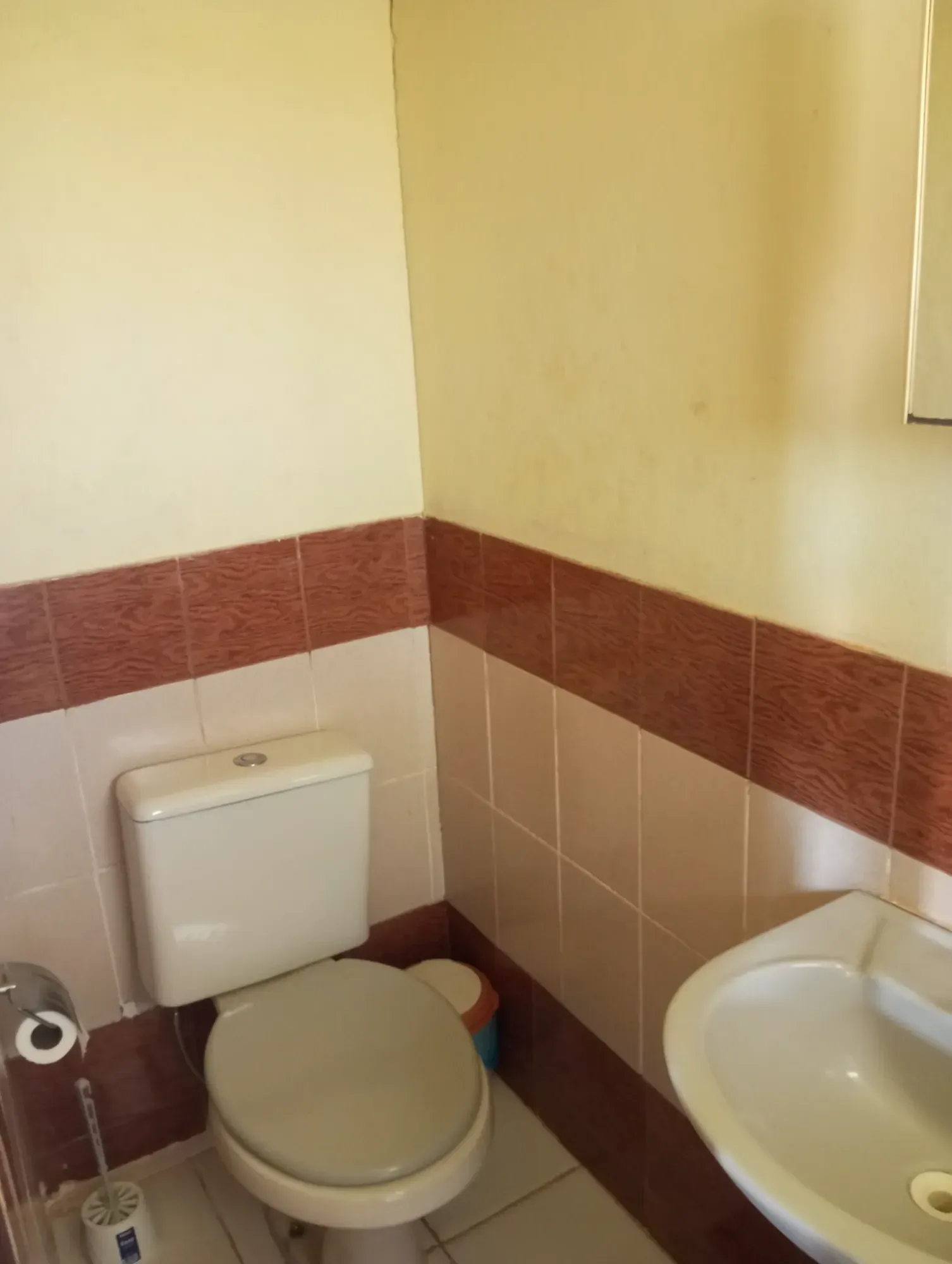 Imagem Chácara com 1 Quarto à Venda, 1040 metros em  - Igarapé / MG