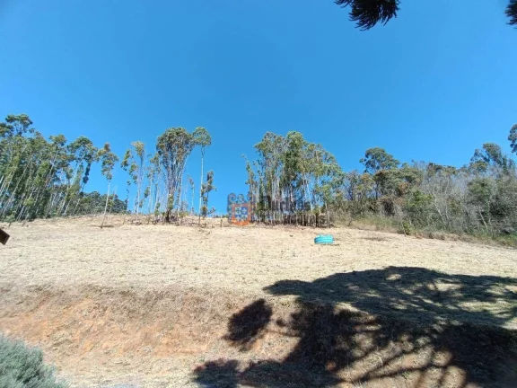 Imagem Sítio com 5 dormitórios à venda, 126000 m² por R$ 2.750.000,00 - Bom Jardim - Camanducaia/MG