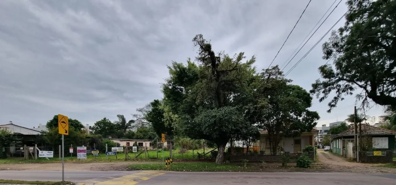 Imagem Terreno para Venda - Bairro Ipanema