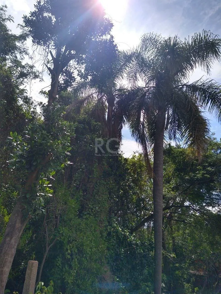 Imagem CASA 3D BAIRRO CAMAQUÃ
