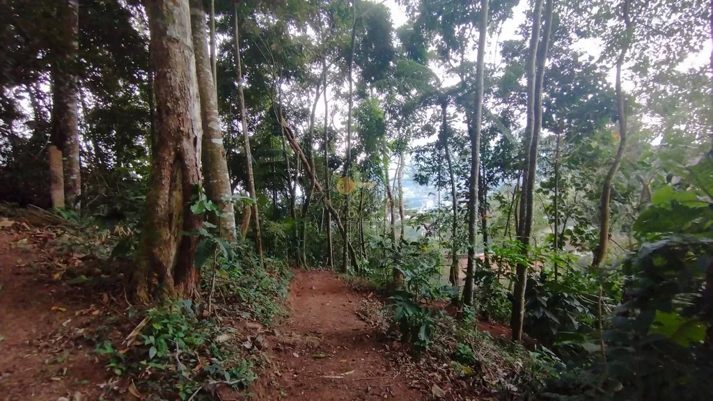 Imagem Terreno para Venda em Teresópolis / RJ no bairro Parque do Ingá