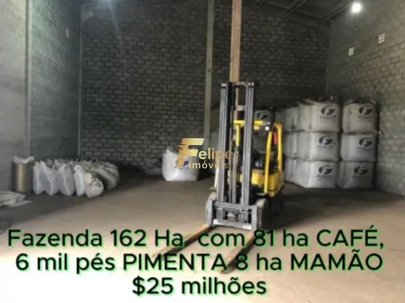 Imagem FAZENDA DE ALTO PADRÃO EM EUNÁPOLIS/BA 162 HECTARES DOCUMENTADOS 81 há de CAFÉ.