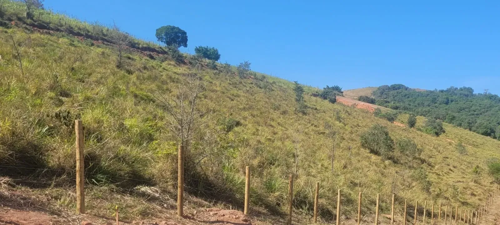 Imagem Terreno à Venda, 64.000 m² em Parque São Luiz - Jundiaí