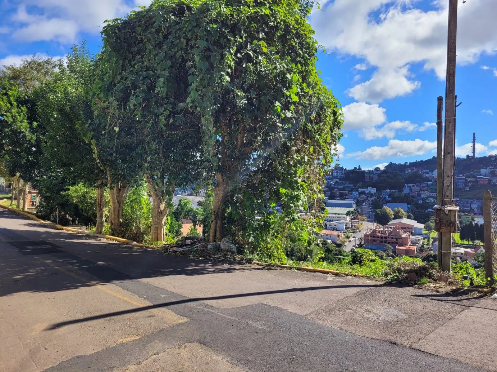 Imagem Lote à venda em Gramado, Piratini, 426m2