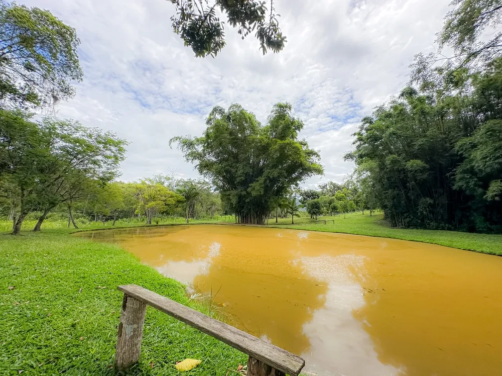Imagem Chácara com 3 Quartos à Venda, 15595 m² em Área Rural de Camboriú - Camboriú