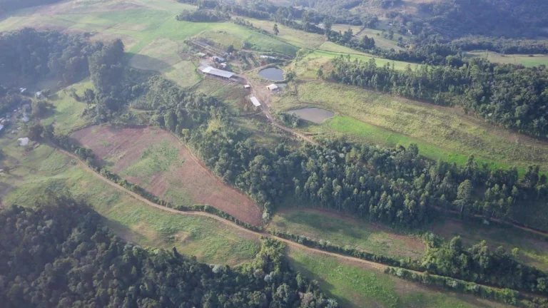 Imagem Área Agrícola para Venda em Concórdia, Interior