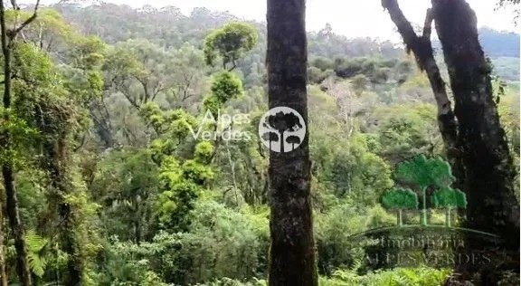 Imagem Oportunidade para Investidores Terreno à venda em Canela/RS