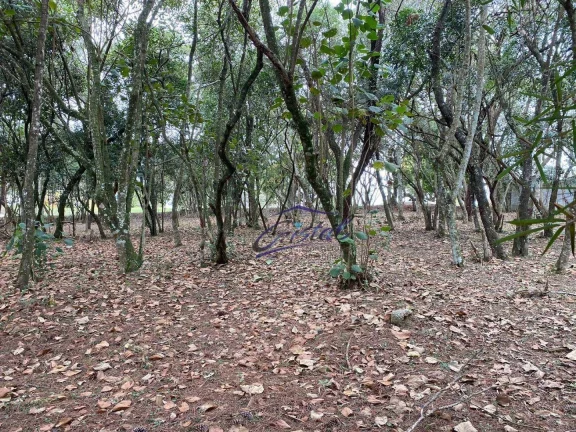 Imagem Terreno à venda, 1575 m² por R$ 1.450.000,00 - Cotia - Cotia/SP