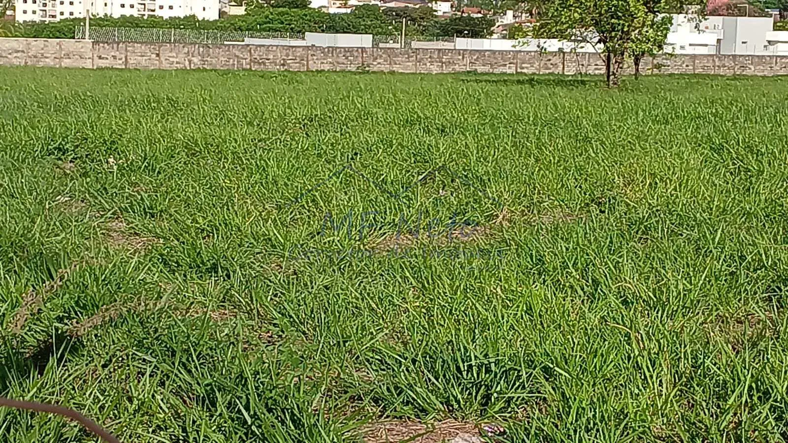 Imagem Terreno Padrão