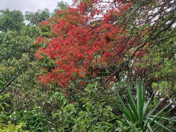Imagem Chácara com 5 dormitórios à venda, 2003 m² por R$ 1.200.000 - Danúbio Azul - Holambra/São Paulo