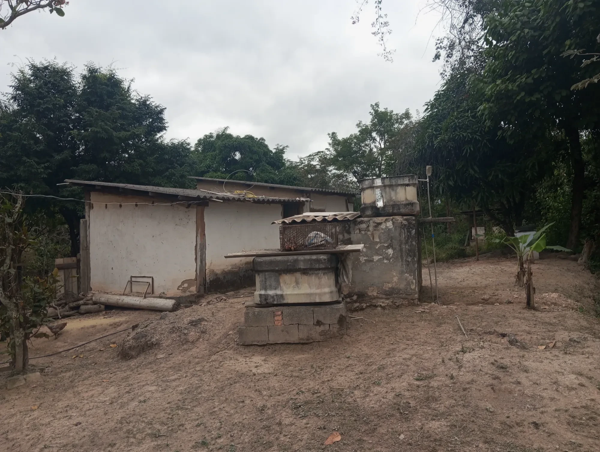 Imagem Sítio à Venda, 20000 metros em Nova União - Nova União