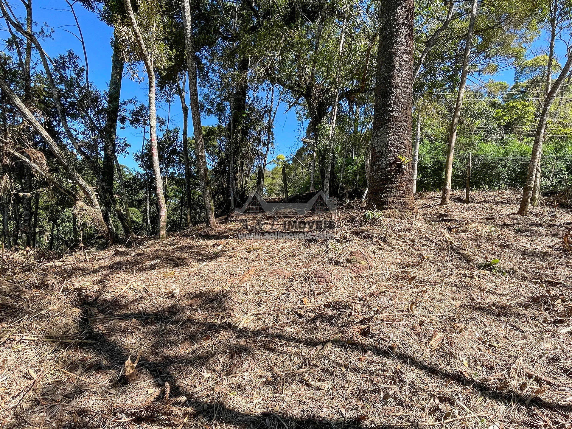 Imagem Terreno à venda em Campos do Jordão - Excelente opção para investimento