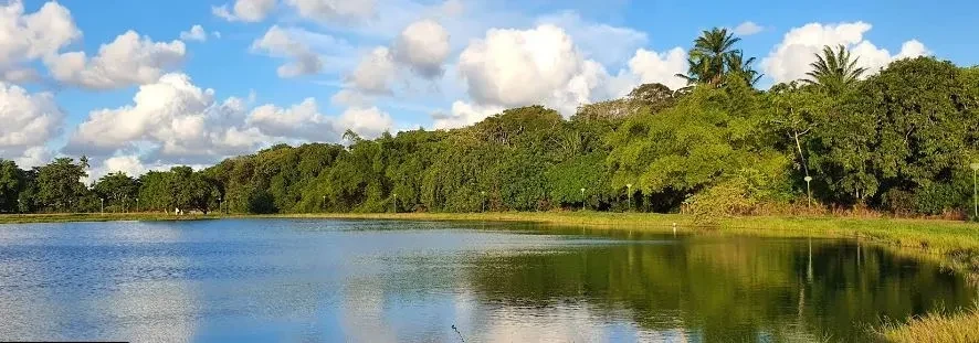 Imagem Casa de Condomínio com 3 Quartos à Venda, 180 m² em Monjope - Igarassu