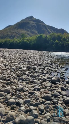 Imagem Fazenda a venda Oportunidade Única em Niquelândia Goiás- GO