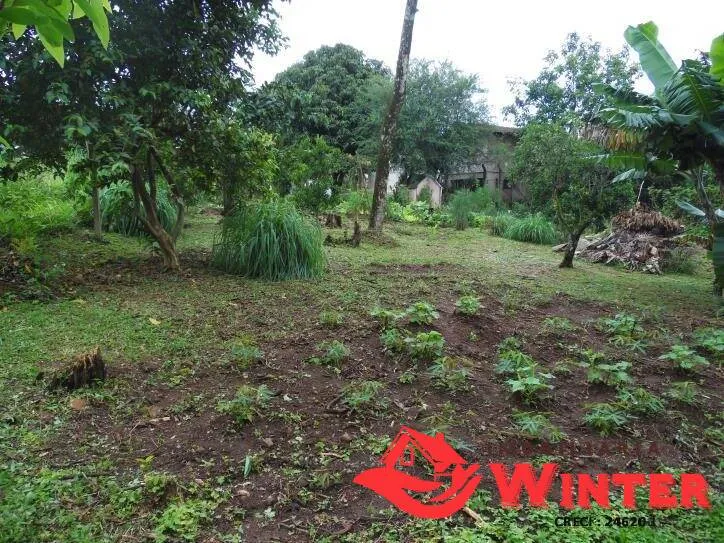 Imagem Casa de 149m² em terreno de 1500m² no centro de Feliz.