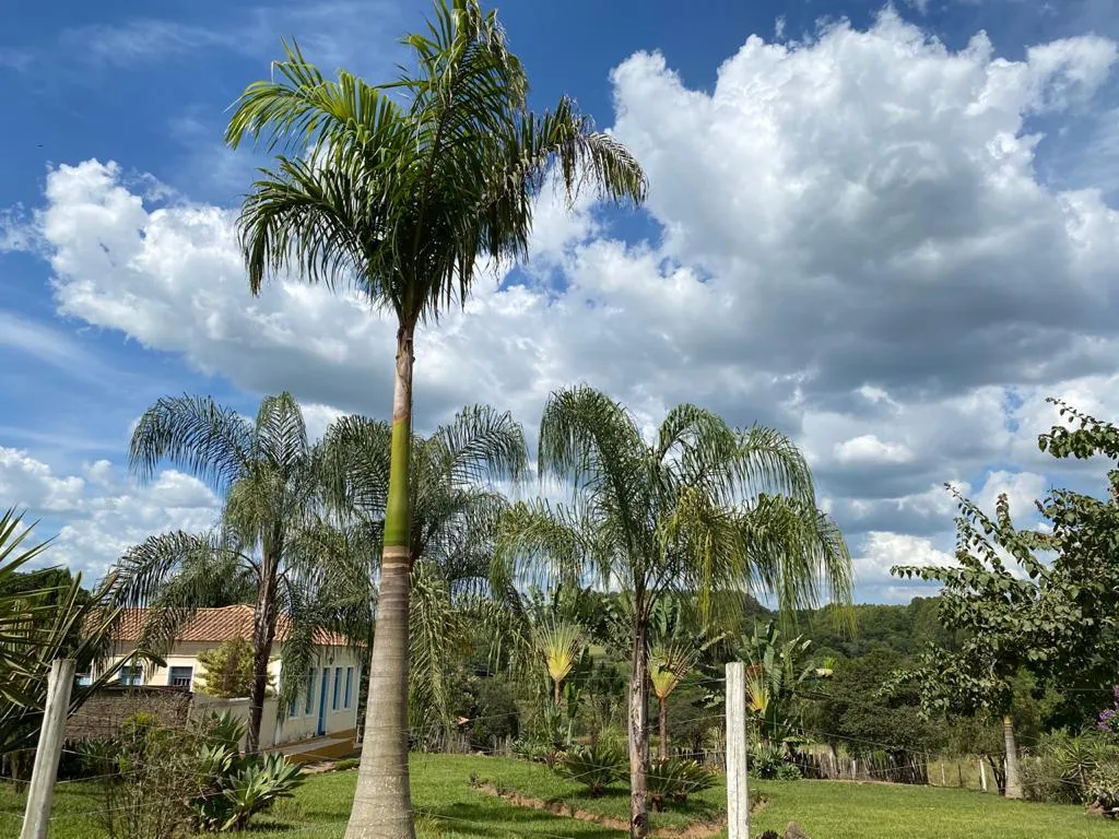 Imagem FAZENDINHA PORTEIRA FECHADA À VENDA - CARMO DO CAJURU (MG) 37 hectares de área total