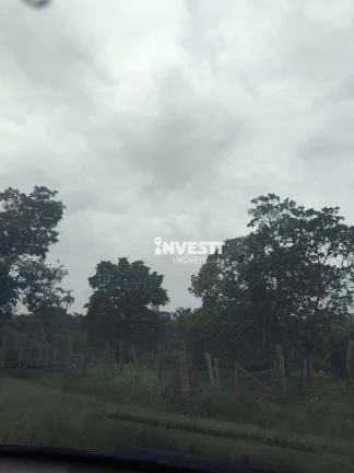 Imagem Chácara à venda na Vargem Grande em Bela Vista de Goiás/GO