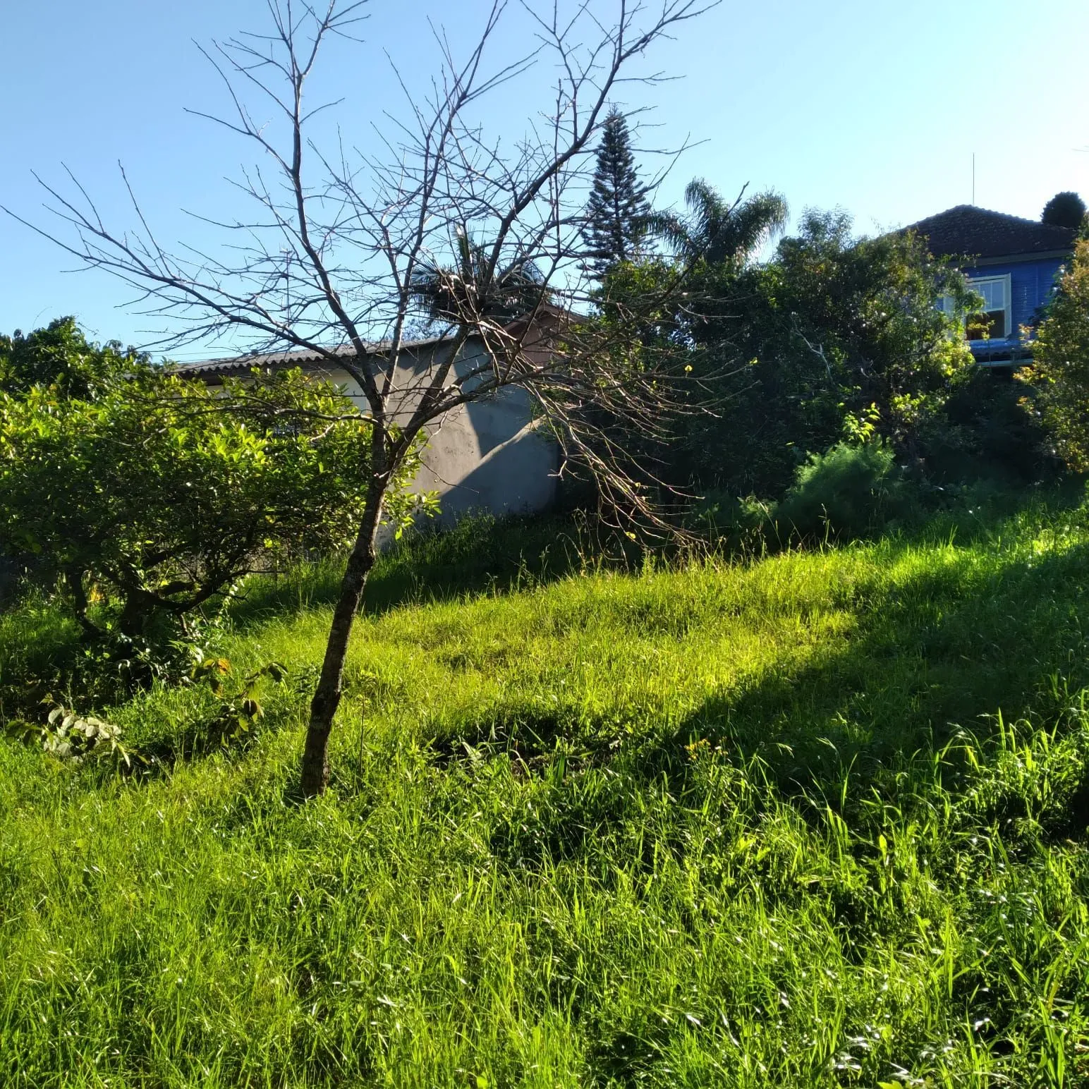 Imagem EXCELENTE TERRENO EM BELÉM VELHO