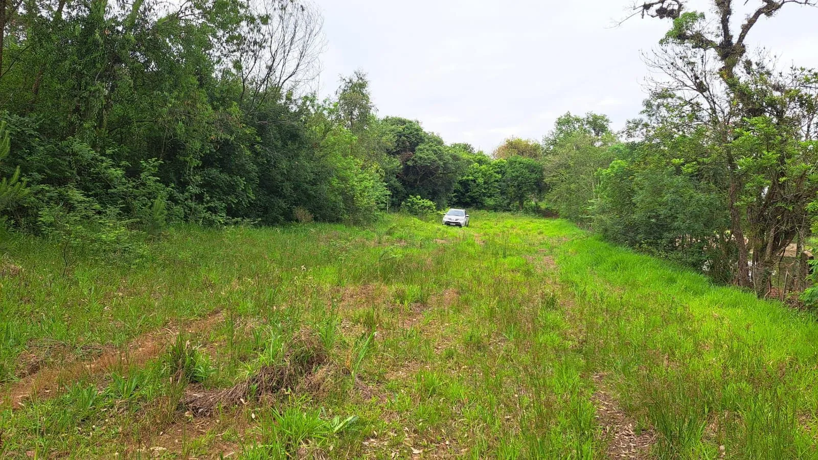 Imagem TERRENO BAIRRO EM CANOAS