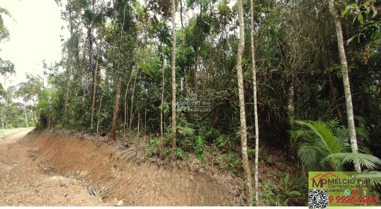 Imagem Terreno para sítio a venda, em Major Gercino, 900Metro da SC 108, 200Metros de estrada de barro. Terraplanagem pronta para construir