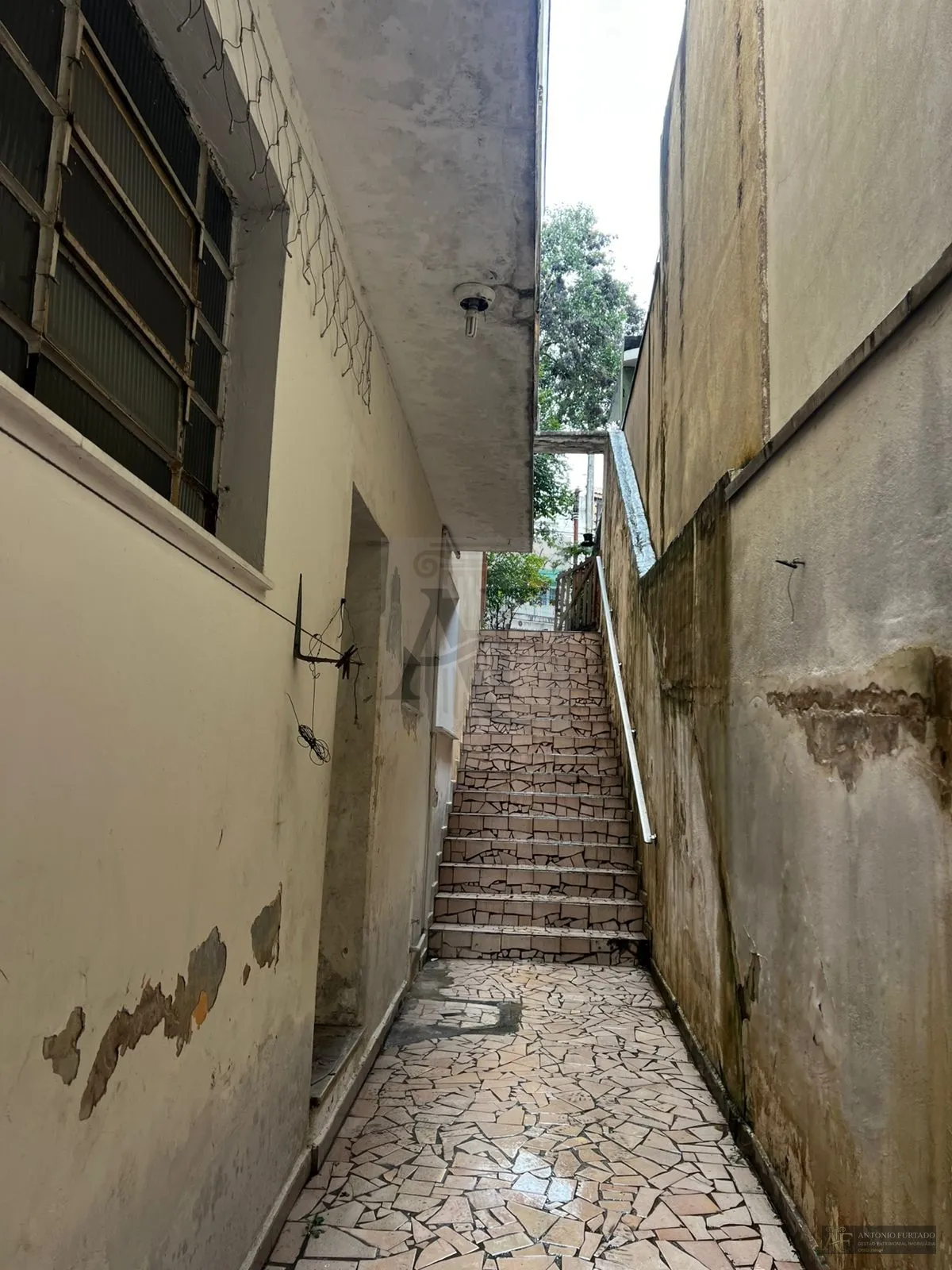 Imagem Sobrado para alugar em Vila Zelina, São Paulo