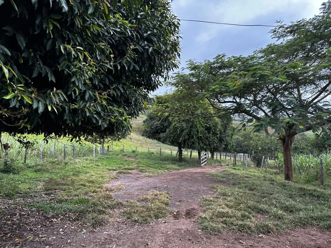 Imagem Vendo um ótimo terreno com 13 hectares de área total , em Crucilândia / MG