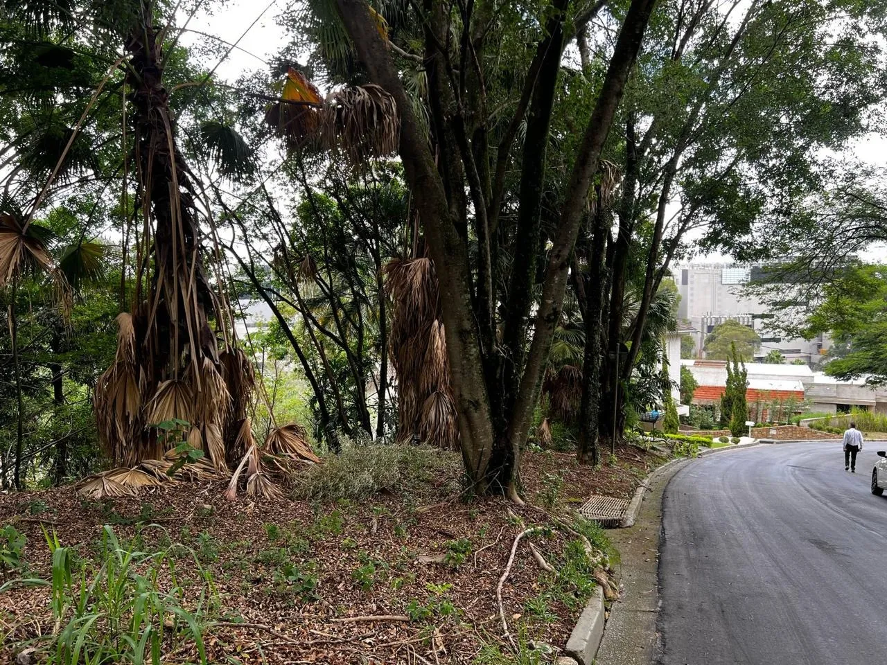 Imagem Terreno à Venda em Condomínio no Residencial Tamboré - Barueri-SP: 1.328,00 m² de Área