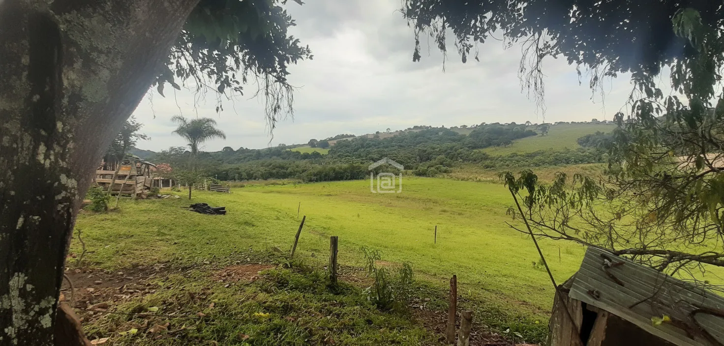 Imagem Fazenda 338,8 ha à venda em Itacolomi, Ipuiúna