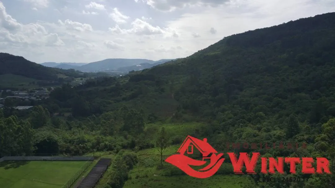 Imagem Área de terras com 6,3 hectares em São Roque, Feliz.