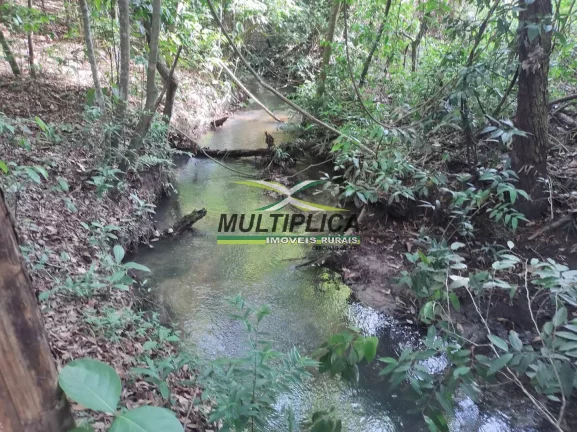 Chácara 12 km de Uberlândia à venda com Casa, Córrego, Curral, Energia