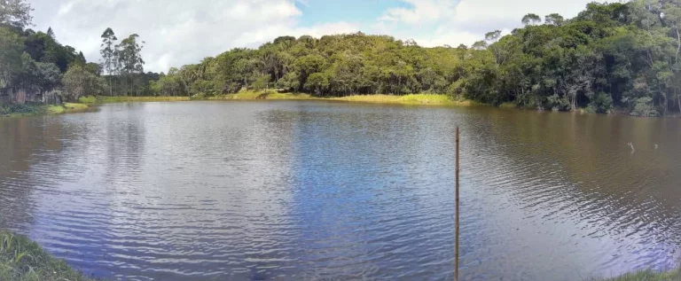 Imagem Sitio com 6 alqueires Tapiraí