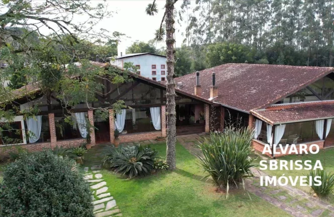 Imagem EXCELENTE FAZENDA COM PINUS A VENDA NA REGIÃO DE ITAPETININGA-SP