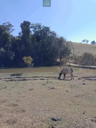 Imagem Terreno incrível para criação de animais e plantio