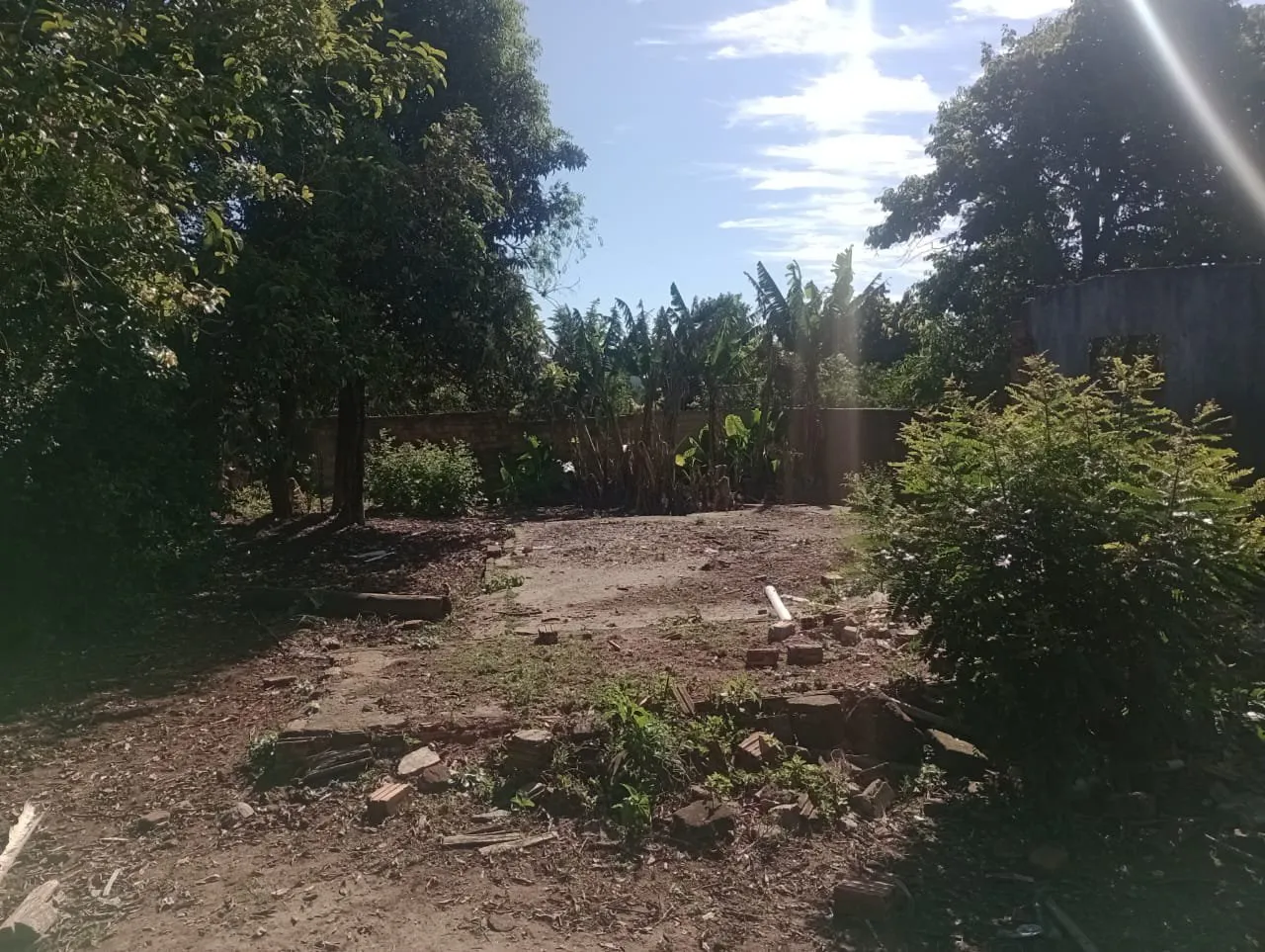 Imagem Terreno à Venda em São Lucas, Viamão