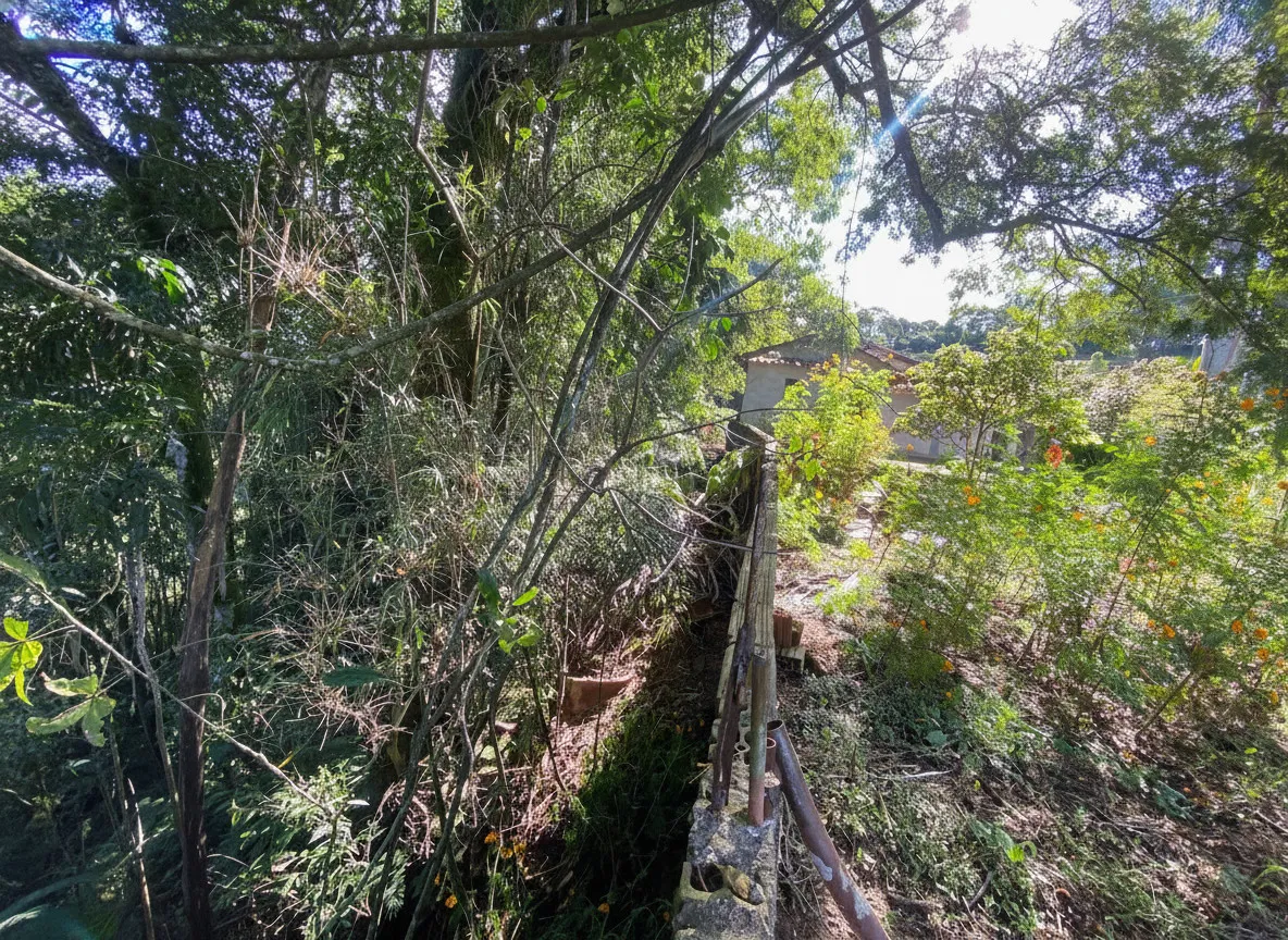 Imagem Chácara 100 m² à venda em Amendoins, Caldas
