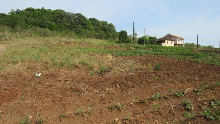 Imagem Terreno para Venda em Concórdia, Rural