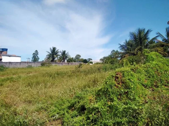 Imagem PIÚMA | Nova Esperança | Área de 3.100 m² plana