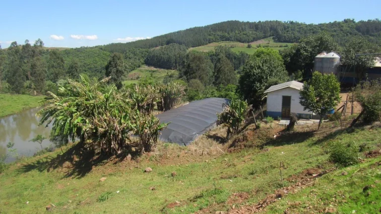 Imagem Área Agrícola para Venda em Arabuta, Rural
